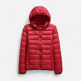 Ηγησώ – Μπουφάν Μεταβατικής Περιόδου